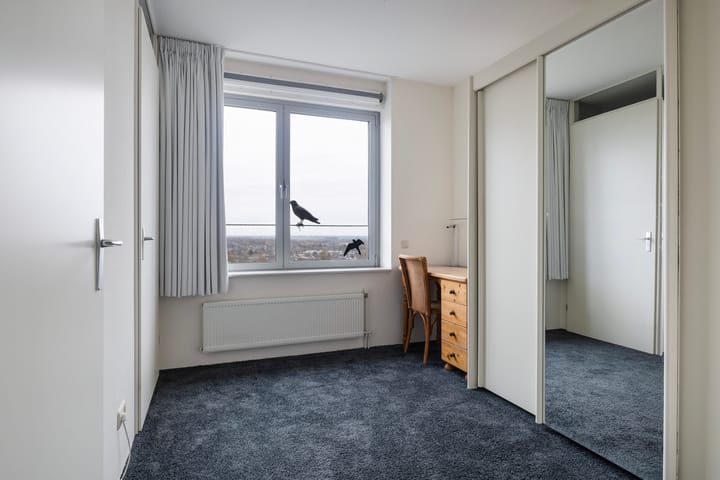 Foto 23 van De Malus 217