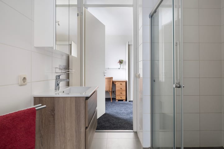 Foto 26 van De Malus 217