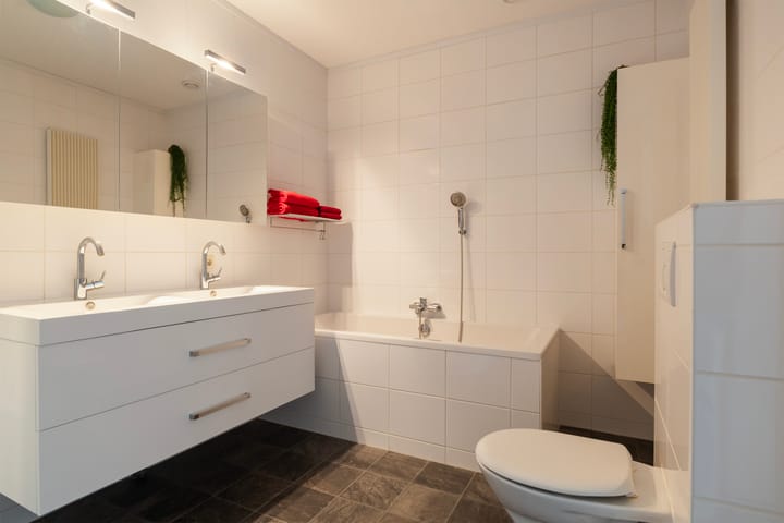 Foto 45 van De Malus 217