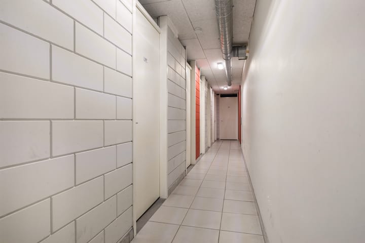 Foto 49 van De Malus 217