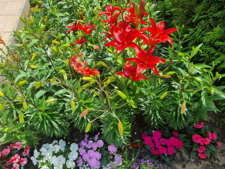 Photo 28 of Oosterdiep 1