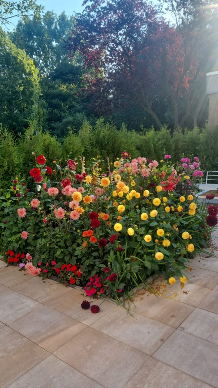 Photo 29 of Oosterdiep 1