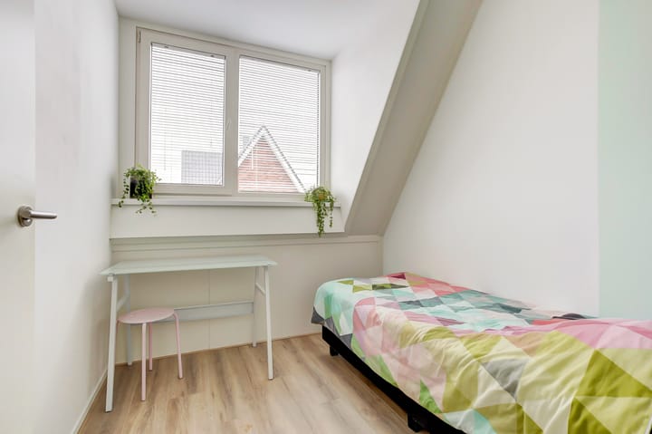 Foto 21 van Hemsink 40