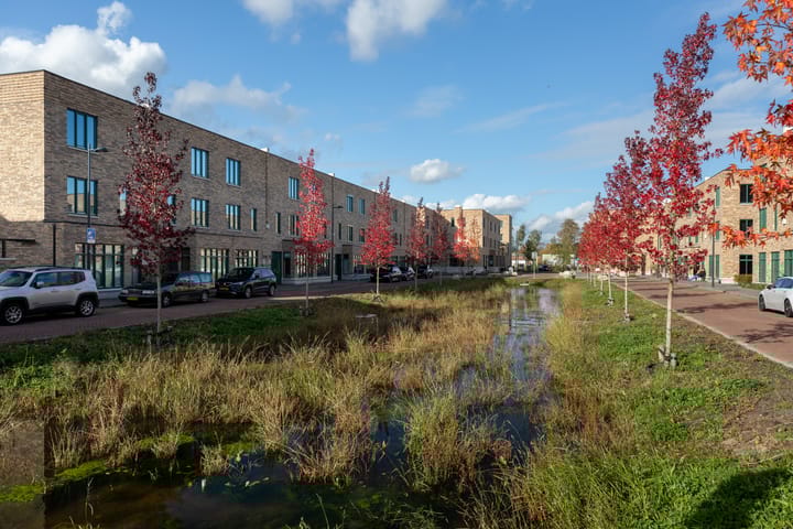 Foto 1 van Barend Cohenstraat 9