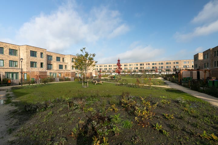 Foto 46 van Barend Cohenstraat 9