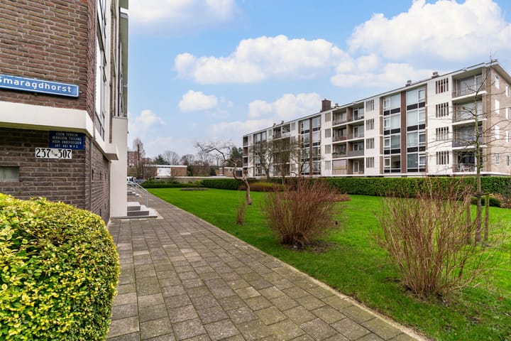 Foto 2 van Smaragdhorst 237