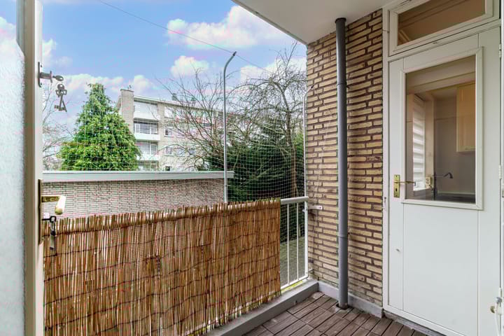 Foto 9 van Smaragdhorst 237