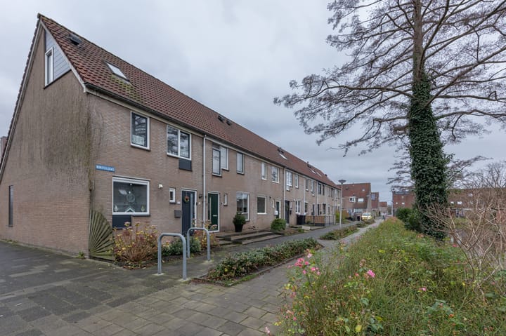 Foto 5 van Borstelgras 11