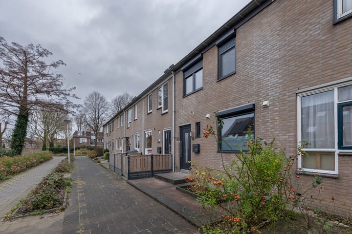 Foto 6 van Borstelgras 11