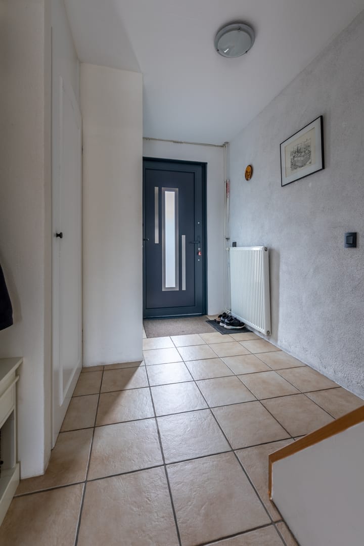 Foto 7 van Borstelgras 11