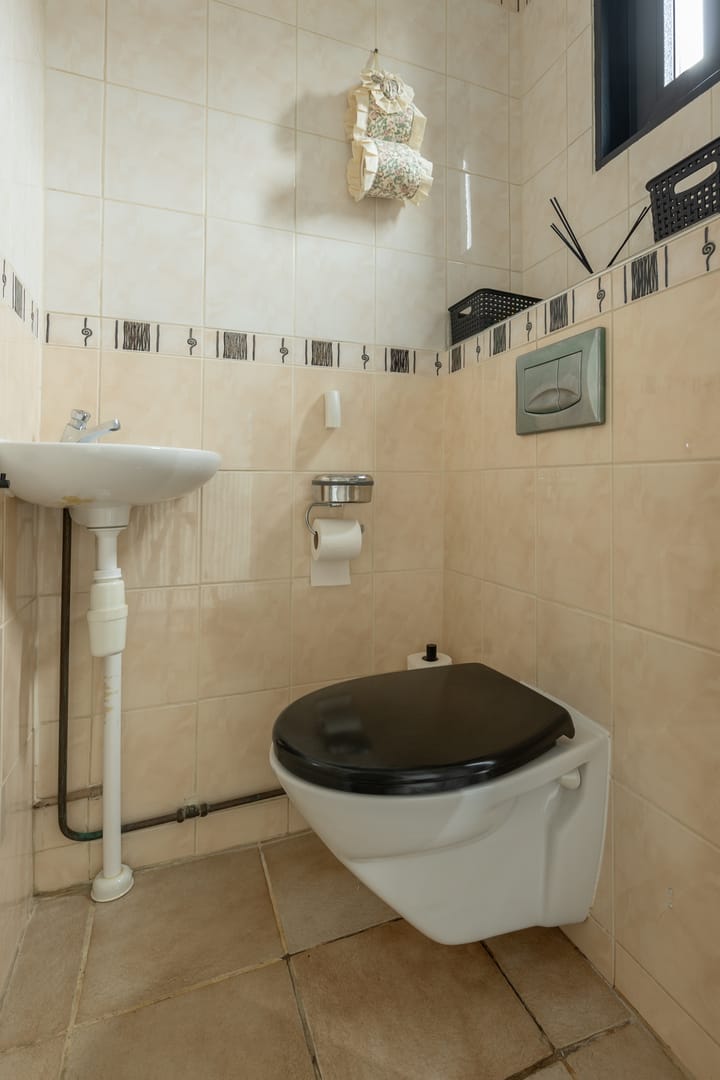 Foto 8 van Borstelgras 11