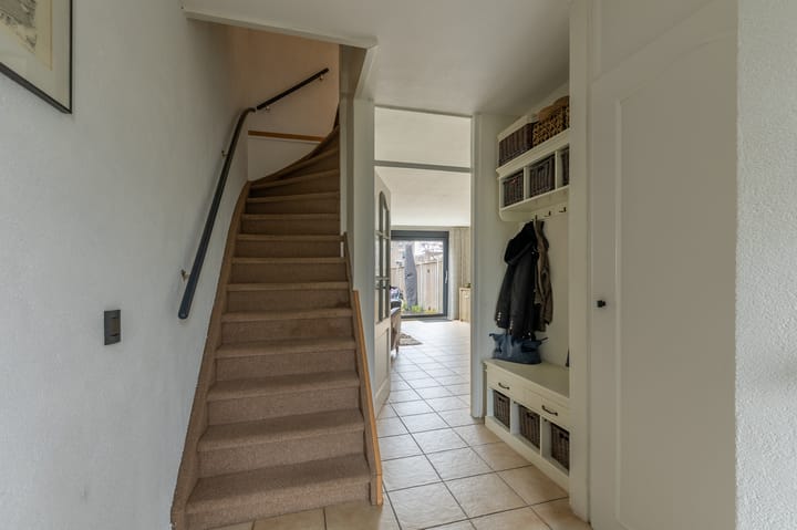 Foto 9 van Borstelgras 11