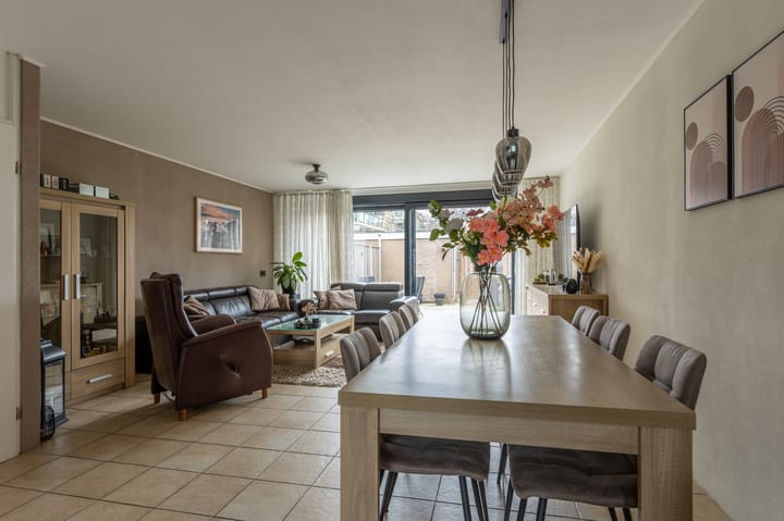 Foto 11 van Borstelgras 11