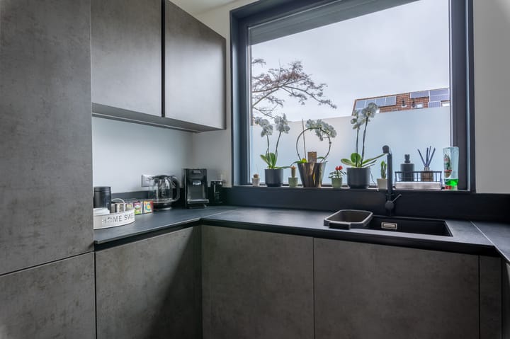 Foto 13 van Borstelgras 11