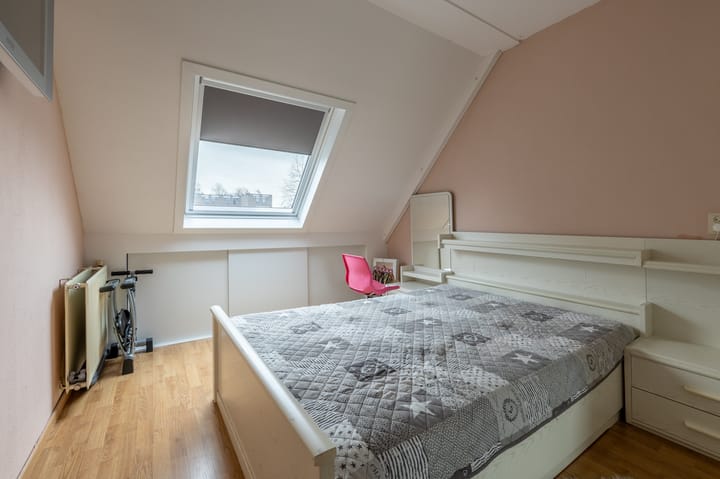 Foto 15 van Borstelgras 11