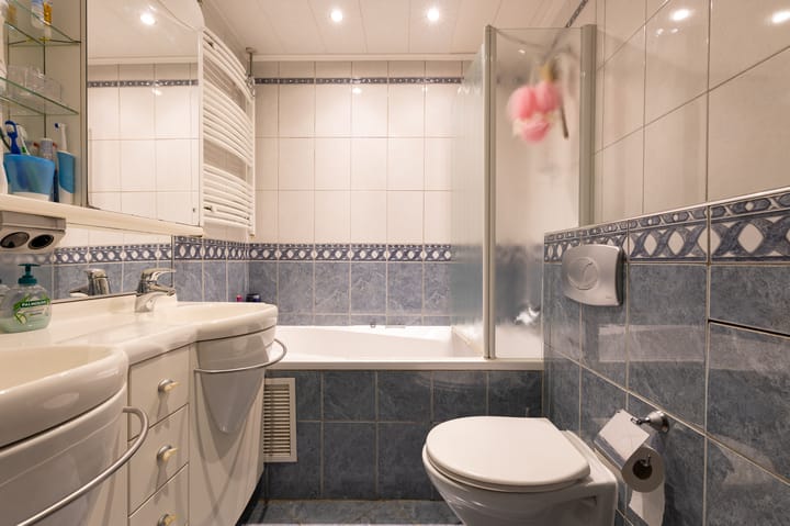 Foto 20 van Borstelgras 11