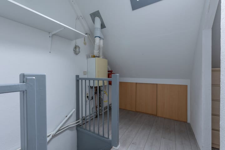 Foto 21 van Borstelgras 11