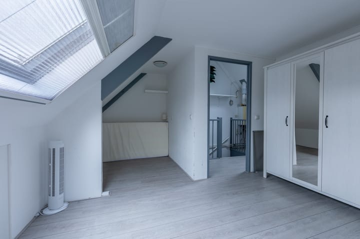 Foto 22 van Borstelgras 11