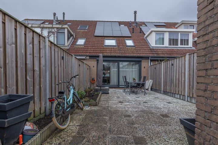 Foto 24 van Borstelgras 11