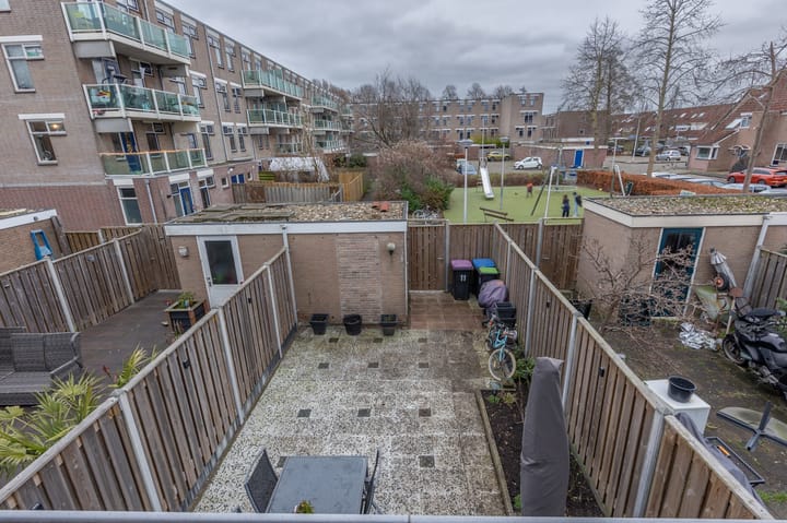 Foto 25 van Borstelgras 11