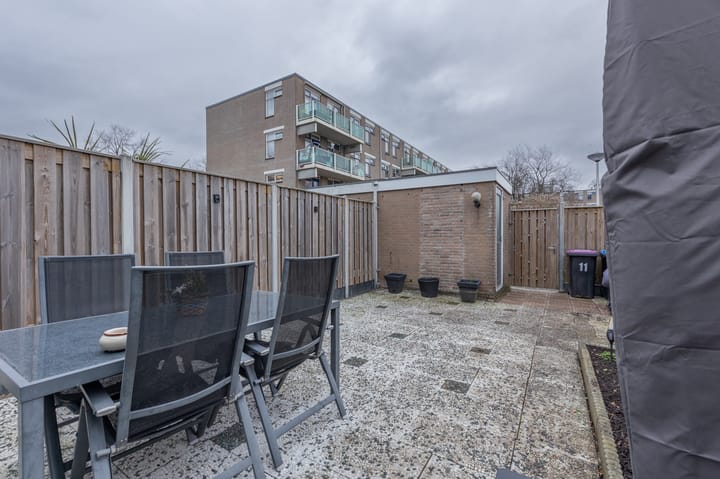 Foto 26 van Borstelgras 11