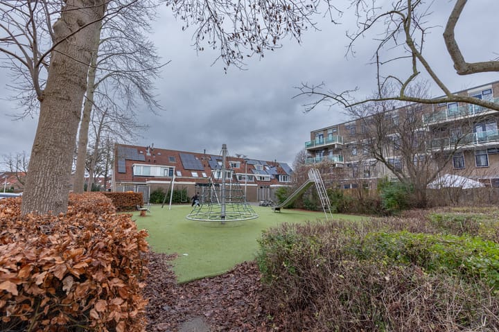 Foto 27 van Borstelgras 11