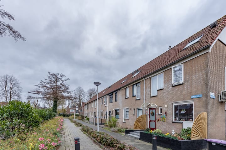 Foto 29 van Borstelgras 11