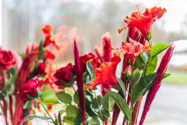 Foto 8 van Drumptselaan 25