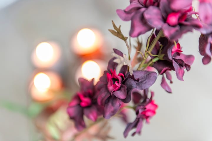 Foto 11 van Drumptselaan 25