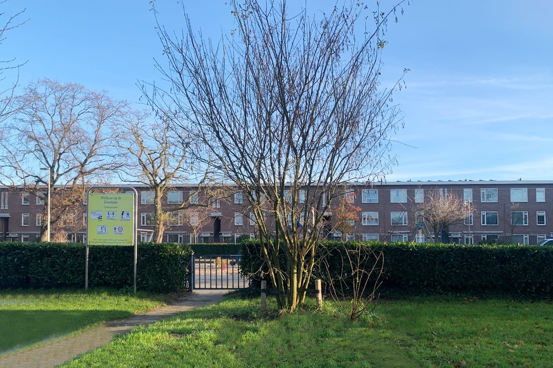 Foto 23 van Larensestraat 82