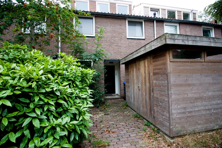 undefined main image