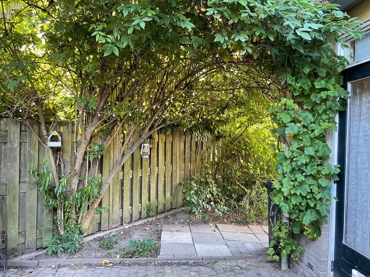 Foto 19 van Goudreinetgaard 13