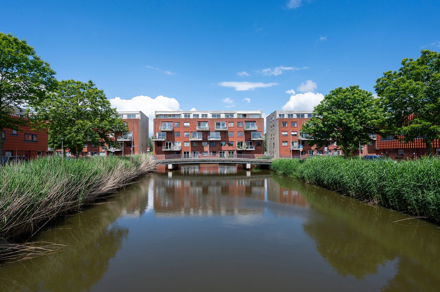 Foto 1 van Pegasusstraat 54