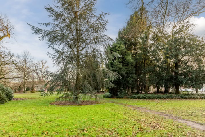 Foto 40 van Hasseltstraat 226