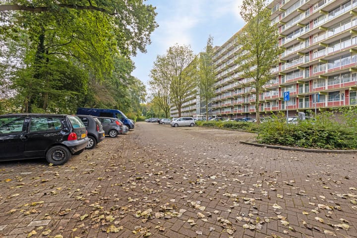 Photo 28 of Westervenne 401