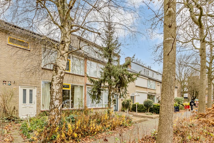 Foto 49 van Planetenstraat 10