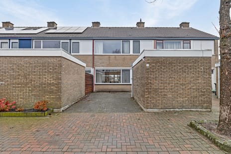 undefined main image