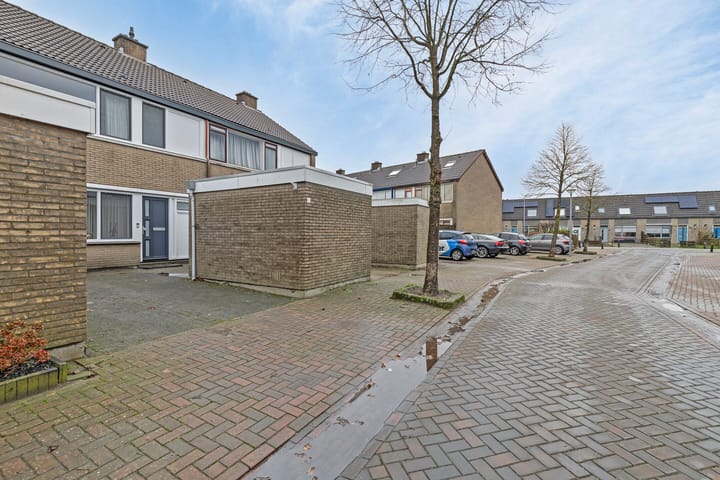 Foto 34 van Aurora 4