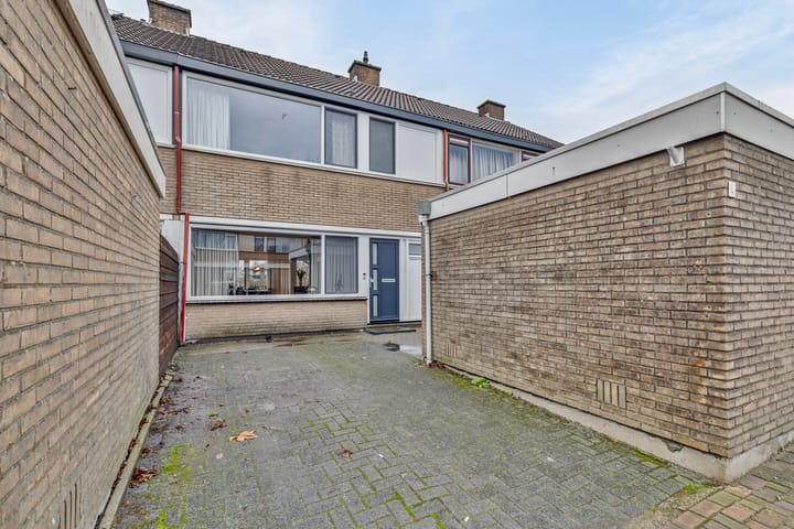 Foto 35 van Aurora 4