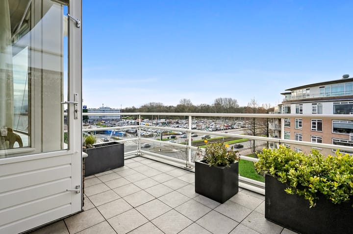 Foto 9 van Buizerdlaan 263