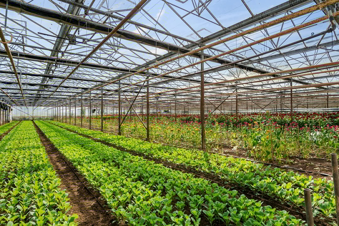 Foto 43 van Rietkampseweg 1-B