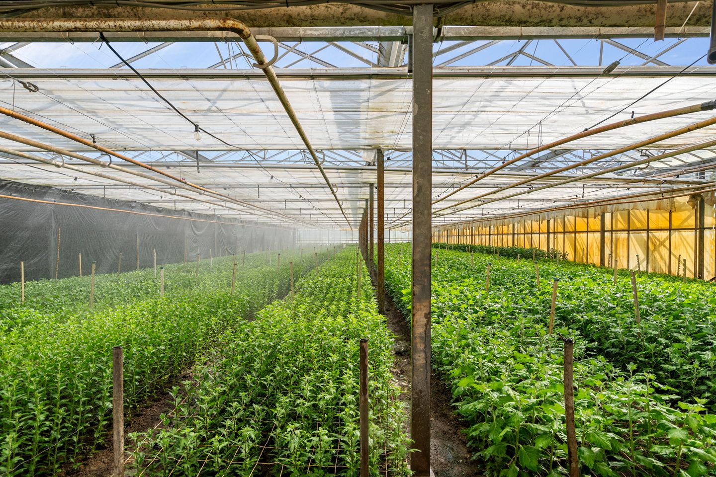 Foto 44 van Rietkampseweg 1-B