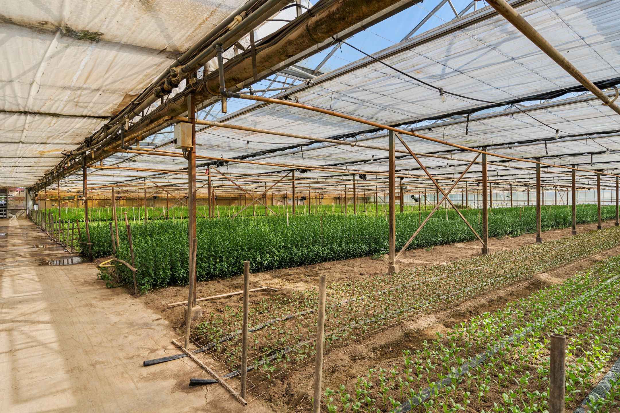 Foto 45 van Rietkampseweg 1-B