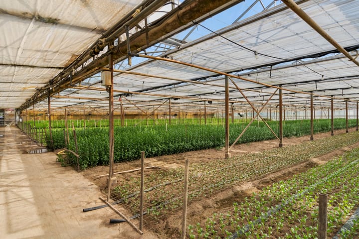 Foto 45 van Rietkampseweg 1-B