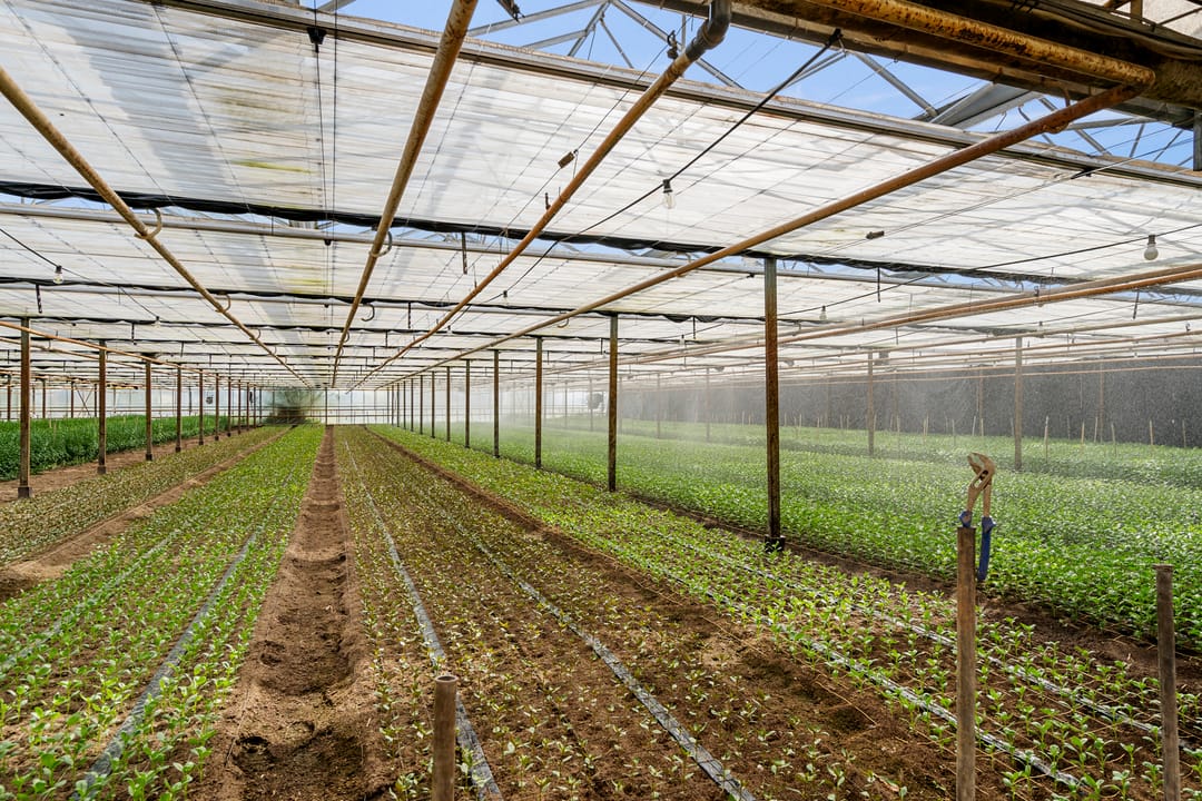 Foto 46 van Rietkampseweg 1-B