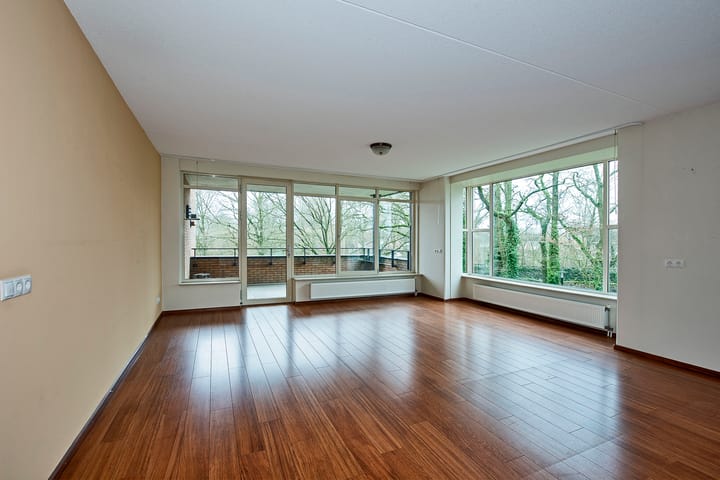 Foto 2 van Molenstaete 5