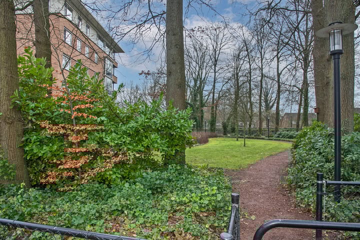 Foto 6 van Molenstaete 5