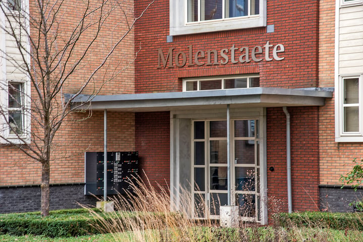 Bekijk foto 32 van Molenstaete 5