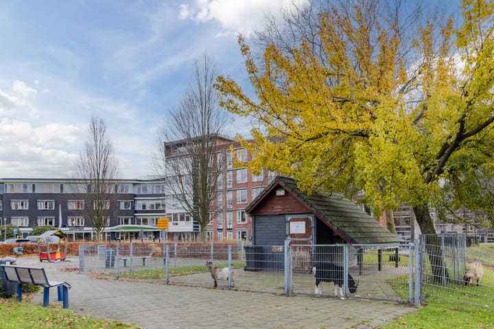 Photo 36 of G.A. Brederolaan 81-C