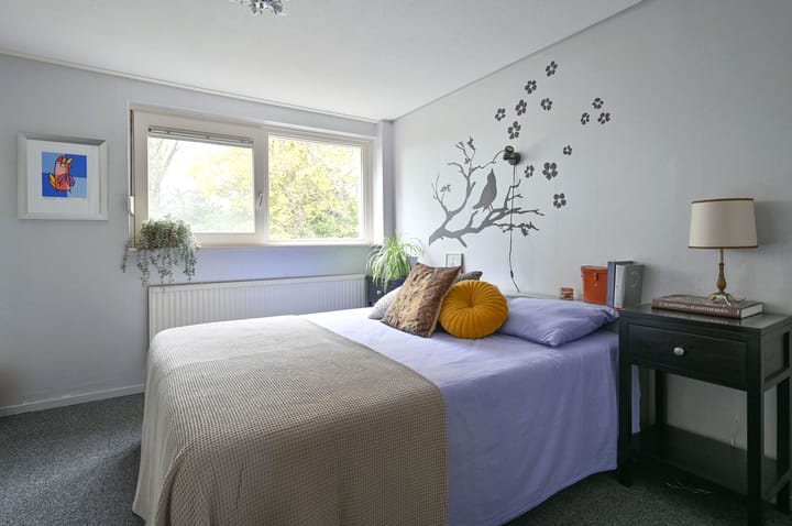 Photo 12 of Hoofdweg 46